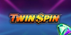 Twin Spin Slot