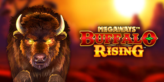 buffalo rising megaways