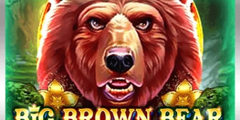 Play Big Brown Bear by UU Slots online uk slots image of slot machine