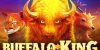 Play Buffalo King by Pragmatic Play online uk slots image of slot machine