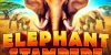 Play Elephant Stampede by RubyPlay online uk slots image of slot machine