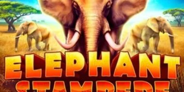 Play Elephant Stampede by RubyPlay online uk slots image of slot machine