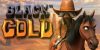 Play Black Gold by Betsoft online uk slots image of slot machine