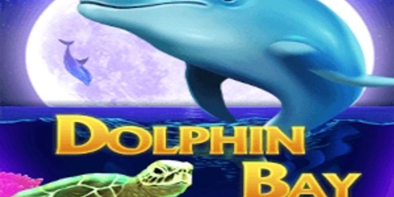 Play Dolphin Bay by Ready Play Gaming online uk slots image of slot machine