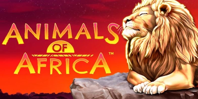 Play Animals of Africa by Gold Coin Studios online uk slots image of slot machine