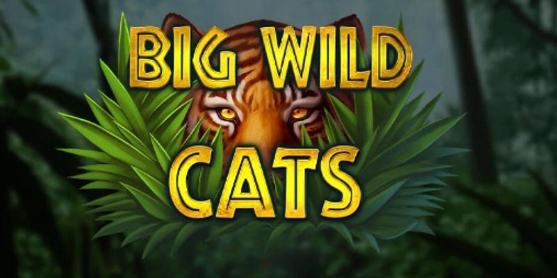 Play Big Wild Cats by Leap Gaming online uk slots image of slot machine