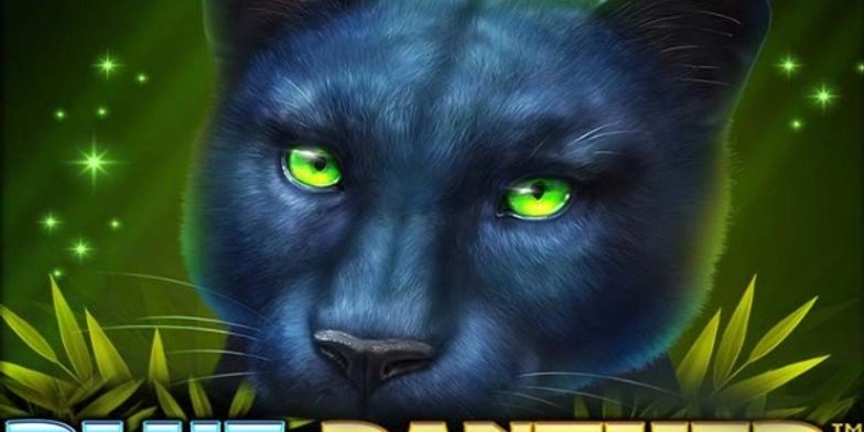 Play Blue Panther by Spinomenal online uk slots image of slot machine